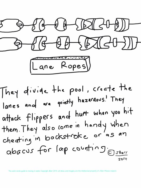 Know your pool. Lane ropes are hard plastic dividers that create the lanes in pools. Everyone takes them for granted. They are very good for teaching beginners how to move their head up and down to create the butterfly dolphin body motion- if your lifeguard lets you. Or To practice the underwater catch for backstroke. 