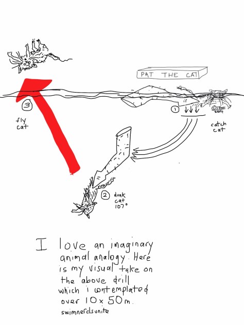 The swim nęrds guide to moving (animals) through water.